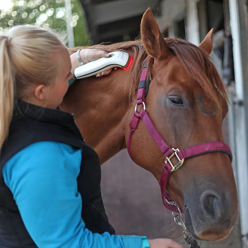 Photizo Vetcare Red Light Therapy Device