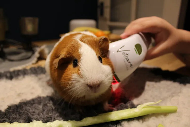 Photizo Vetcare Red Light Therapy Device