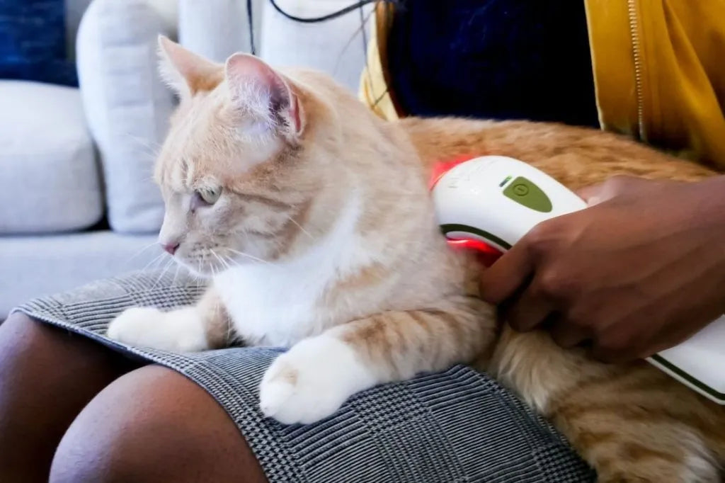Photizo Vetcare Silent Red Light Therapy Device